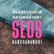 SUP, เที่ยวทิพย์ ไปกะ SEDS ตอน&#8230;&#8221;ทะเลนม แหล่งกำเนิด SEDS&#8221;